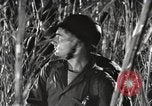 Image of Marine Corps Pacific Theater, 1944, second 18 stock footage video 65675060329