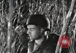Image of Marine Corps Pacific Theater, 1944, second 19 stock footage video 65675060329