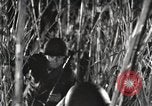 Image of Marine Corps Pacific Theater, 1944, second 20 stock footage video 65675060329