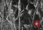 Image of Marine Corps Pacific Theater, 1944, second 21 stock footage video 65675060329