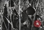 Image of Marine Corps Pacific Theater, 1944, second 23 stock footage video 65675060329