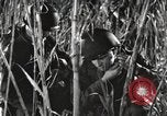 Image of Marine Corps Pacific Theater, 1944, second 24 stock footage video 65675060329
