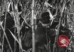 Image of Marine Corps Pacific Theater, 1944, second 25 stock footage video 65675060329