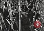 Image of Marine Corps Pacific Theater, 1944, second 28 stock footage video 65675060329