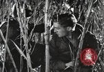 Image of Marine Corps Pacific Theater, 1944, second 29 stock footage video 65675060329