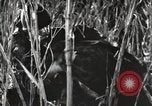 Image of Marine Corps Pacific Theater, 1944, second 31 stock footage video 65675060329