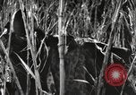 Image of Marine Corps Pacific Theater, 1944, second 34 stock footage video 65675060329
