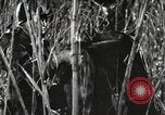 Image of Marine Corps Pacific Theater, 1944, second 49 stock footage video 65675060329