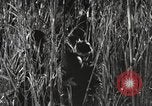 Image of Marine Corps Pacific Theater, 1944, second 53 stock footage video 65675060329
