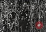 Image of Marine Corps Pacific Theater, 1944, second 54 stock footage video 65675060329