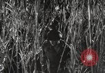 Image of Marine Corps Pacific Theater, 1944, second 55 stock footage video 65675060329