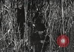 Image of Marine Corps Pacific Theater, 1944, second 57 stock footage video 65675060329
