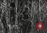Image of Marine Corps Pacific Theater, 1944, second 58 stock footage video 65675060329