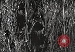 Image of Marine Corps Pacific Theater, 1944, second 59 stock footage video 65675060329