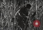 Image of Marine Corps Pacific Theater, 1944, second 60 stock footage video 65675060329