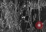 Image of Marine Corps Pacific Theater, 1944, second 61 stock footage video 65675060329