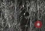 Image of Marine Corps Pacific Theater, 1944, second 62 stock footage video 65675060329