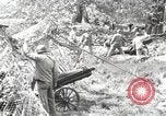 Standbild Marine Corps Pacific Theater, 1944, aus Sekunde 4 historischem Filmmaterial Videoclip 65675060330