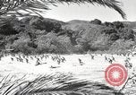 Standbild Marine Corps Pacific Theater, 1944, aus Sekunde 20 historischem Filmmaterial Videoclip 65675060330