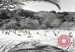 Standbild Marine Corps Pacific Theater, 1944, aus Sekunde 21 historischem Filmmaterial Videoclip 65675060330