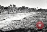 Standbild Marine Corps Pacific Theater, 1944, aus Sekunde 49 historischem Filmmaterial Videoclip 65675060330