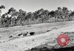 Standbild Marine Corps Pacific Theater, 1944, aus Sekunde 57 historischem Filmmaterial Videoclip 65675060330