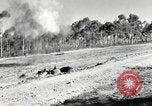 Standbild Marine Corps Pacific Theater, 1944, aus Sekunde 59 historischem Filmmaterial Videoclip 65675060330