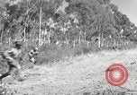 Standbild Marine Corps Pacific Theater, 1944, aus Sekunde 62 historischem Filmmaterial Videoclip 65675060330