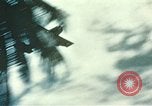 Standbild USA Cruiser Pacific Theater, 1945, aus Sekunde 24 historischem Filmmaterial Videoclip 65675060337