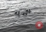 Standbild Schwimmer United States USA, 1945, aus Sekunde 32 historischem Filmmaterial Videoclip 65675060339
