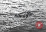 Standbild Schwimmer United States USA, 1945, aus Sekunde 33 historischem Filmmaterial Videoclip 65675060339