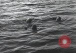 Standbild Schwimmer United States USA, 1945, aus Sekunde 44 historischem Filmmaterial Videoclip 65675060339