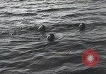Standbild Schwimmer United States USA, 1945, aus Sekunde 45 historischem Filmmaterial Videoclip 65675060339