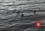 Standbild Schwimmer United States USA, 1945, aus Sekunde 46 historischem Filmmaterial Videoclip 65675060339