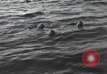 Standbild Schwimmer United States USA, 1945, aus Sekunde 47 historischem Filmmaterial Videoclip 65675060339