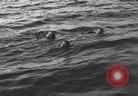 Standbild Schwimmer United States USA, 1945, aus Sekunde 48 historischem Filmmaterial Videoclip 65675060339