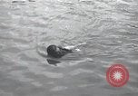 Standbild Schwimmer United States USA, 1945, aus Sekunde 56 historischem Filmmaterial Videoclip 65675060339