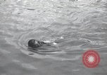 Standbild Schwimmer United States USA, 1945, aus Sekunde 57 historischem Filmmaterial Videoclip 65675060339