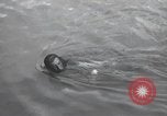 Standbild Schwimmer United States USA, 1945, aus Sekunde 61 historischem Filmmaterial Videoclip 65675060339