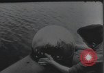 Standbild Deutsche Neger human Torpedo Deutschland, 1944, aus Sekunde 53 historischem Filmmaterial Videoclip 65675060341