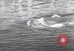 Standbild Deutsche midget U-Boote Europa, 1944, aus Sekunde 37 historischem Filmmaterial Videoclip 65675060342