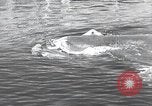 Standbild Deutsche midget U-Boote Europa, 1944, aus Sekunde 38 historischem Filmmaterial Videoclip 65675060342