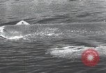 Standbild Deutsche midget U-Boote Europa, 1944, aus Sekunde 40 historischem Filmmaterial Videoclip 65675060342