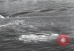 Standbild Deutsche midget U-Boote Europa, 1944, aus Sekunde 41 historischem Filmmaterial Videoclip 65675060342