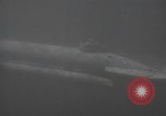 Standbild Deutsche midget U-Boote Europa, 1944, aus Sekunde 52 historischem Filmmaterial Videoclip 65675060342