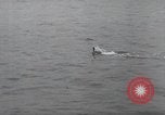Image of German midget submarines Europe, 1945, second 38 stock footage video 65675060343