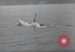 Image of German midget submarines Europe, 1945, second 48 stock footage video 65675060343