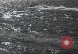 Image of German and Italian torpedo boats Europe, 1945, second 58 stock footage video 65675060345