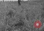 Image of 3rd Division soldiers Anzio Italy, 1944, second 35 stock footage video 65675060349
