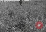 Image of 3rd Division soldiers Anzio Italy, 1944, second 36 stock footage video 65675060349